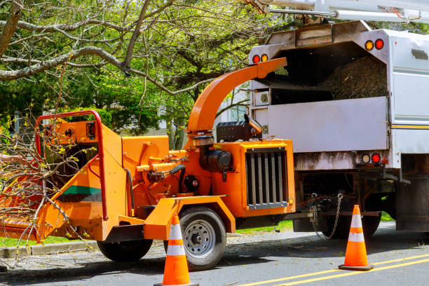 Best Seasonal Cleanup (Spring/Fall)  in Hapeville, GA